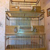 Клетка для жаворонка Клетка для жаворонка
