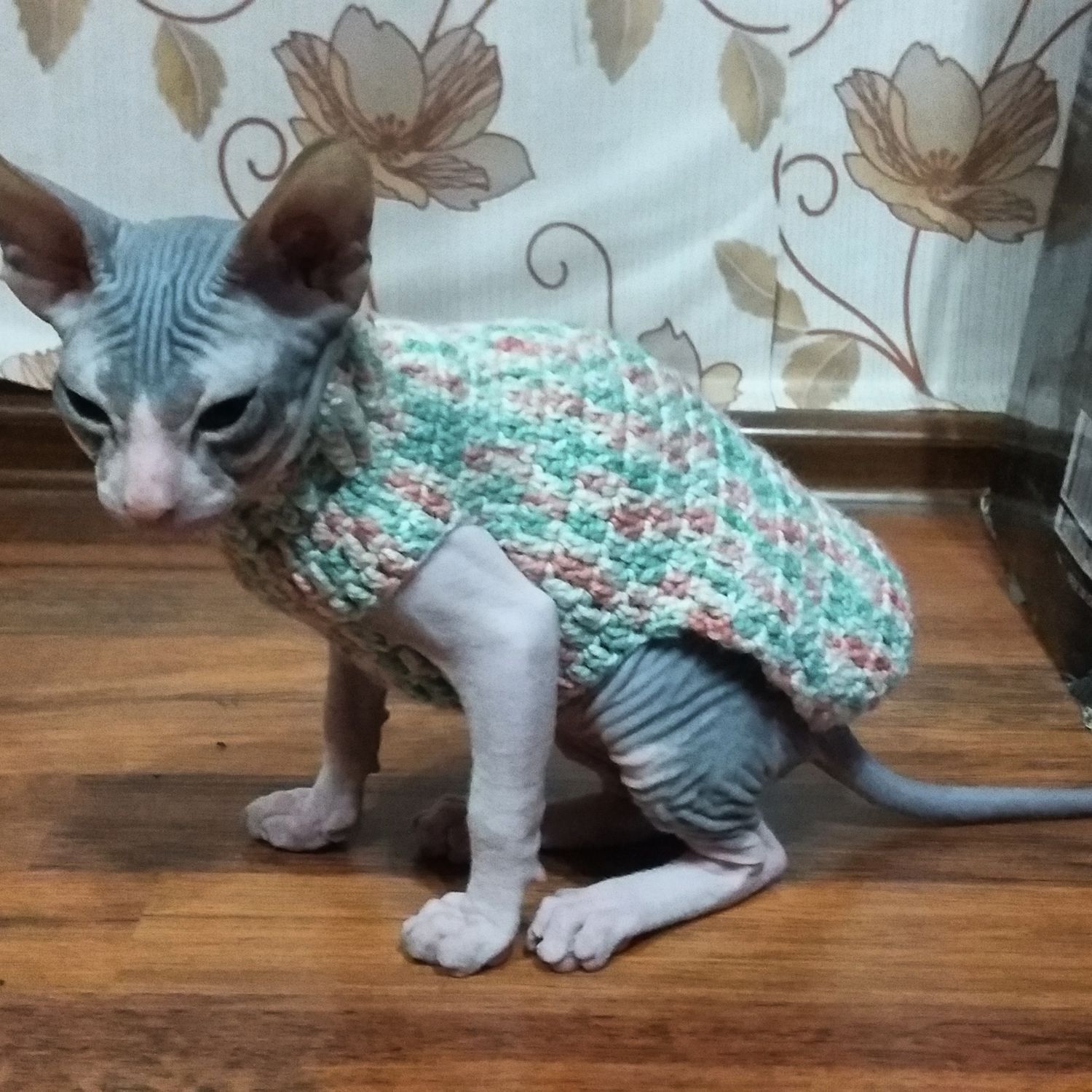 Костюм для котёнка своими руками 392