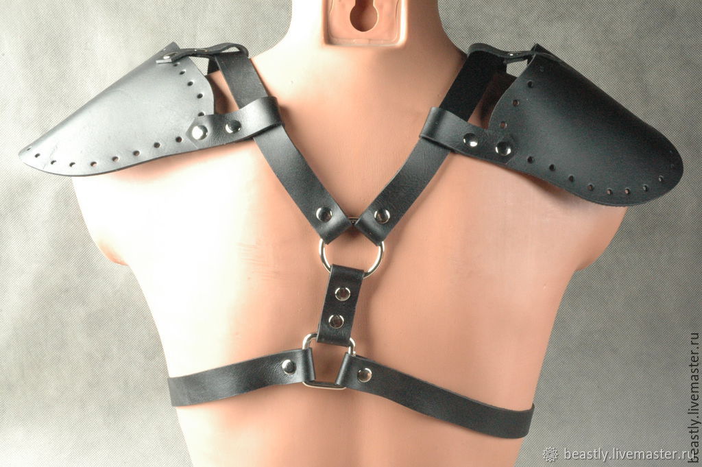 Шлейка-сбруя 