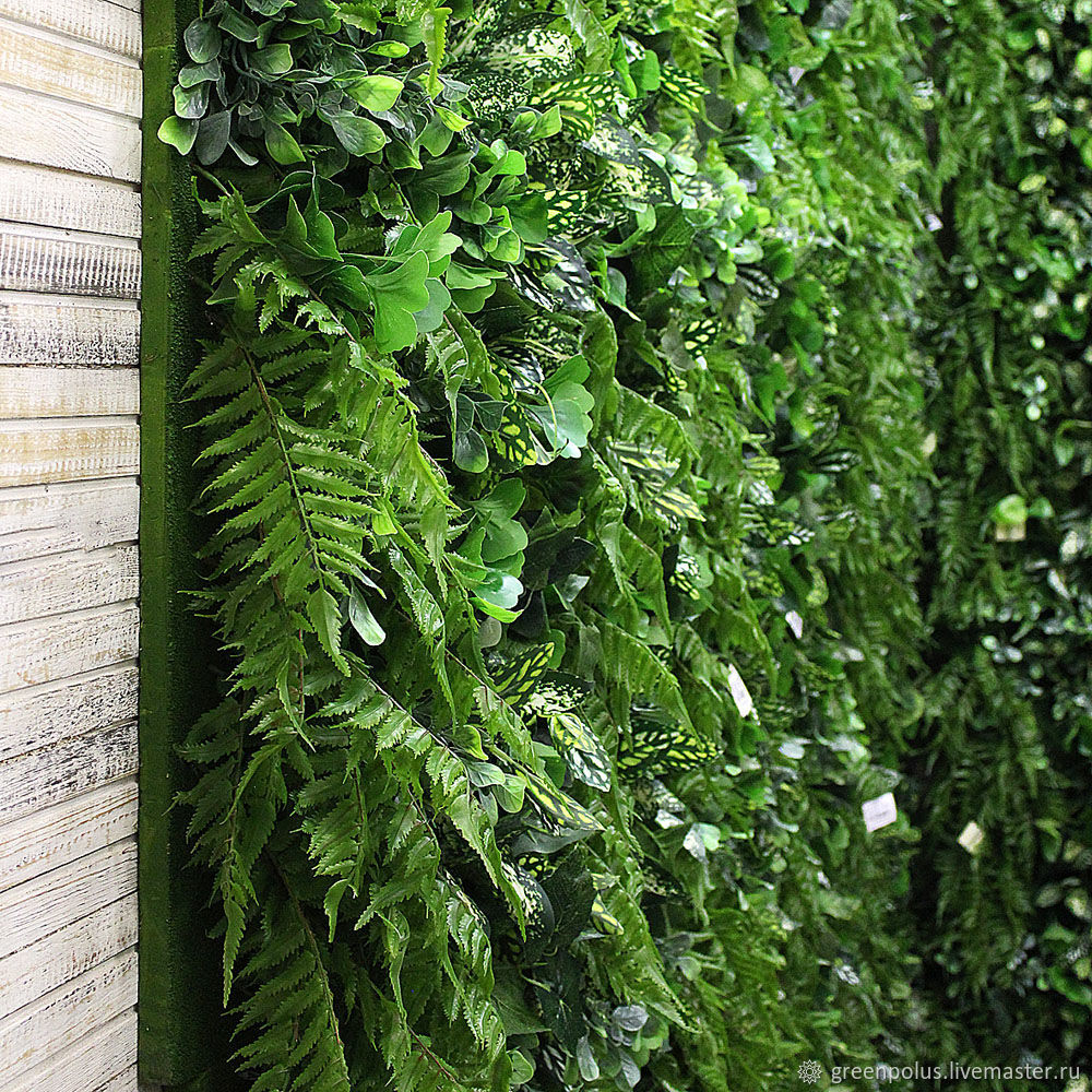 Стена Из Искусственной Зелени