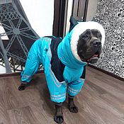 Комбинезон для кане корсо своими руками Комбинезон для кане корсо своими руками