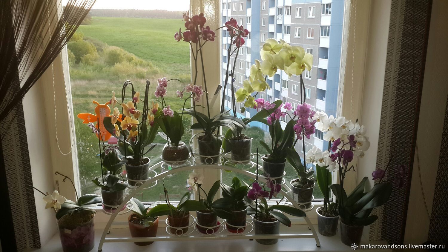Подставка Для Орхидей На Окно