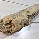 Дрифтвуд коряга объемная фактурная. Природные материалы. Driftwoodlimania (Loram). Ярмарка Мастеров.  Фото №4