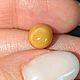 Природный жемчуг Мело(Melo), 2,48ct. Минералы. Astro.gems. Интернет-магазин Ярмарка Мастеров.  Фото №2