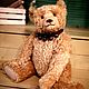 Заказать  Teddy Bear. Инесса Сизова (milaniyadolls). Ярмарка Мастеров. . Мишки Тедди Фото №3