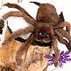  паук из натурального меха норки Мамба, Новогодние сувениры, Москва,  Фото №1