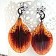 Earrings with Real Orange Lily Petals Korean Accessories, Earrings, Taganrog,  Фото №1