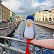Чайка из Петербурга, Игрушки, Санкт-Петербург,  Фото №1