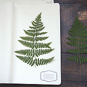 Канцелярские товары handmade. Livemaster - original item A3 Lupin Herbarium Storage Kit (20 sheets). Handmade.