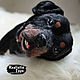 The Rottweiler Is Happy. Accessories for Pets. CuteToys. Online shopping on My Livemaster.  Фото №2