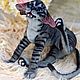 Copy of Copy of Copy of Collectible toy Bengal cat. Stuffed Toys. klemabears. Online shopping on My Livemaster.  Фото №2
