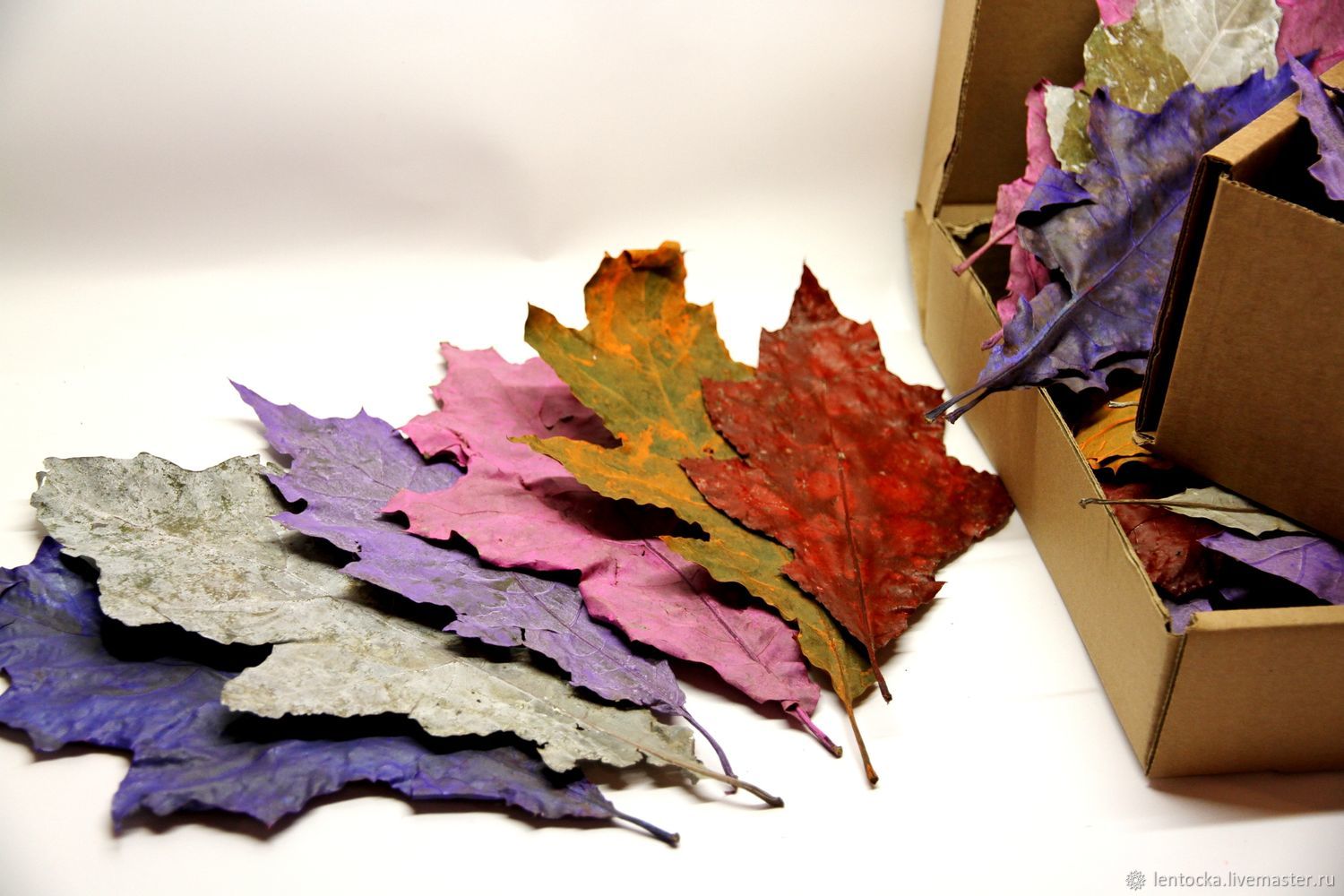 Листья Дуба Куэркус крашенные Флористика и Декор купить в интернет ...