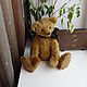  Firefly Bear with Howler. Teddy Bears. tamedteddibears (tamedteddybears). Online shopping on My Livemaster.  Фото №2