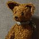  Лис Макс. Тедди Зверята. Ручные мишки Тедди (tamedteddybears). Ярмарка Мастеров.  Фото №7