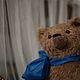 Мишка Кир. Мишки Тедди. Елена Перминова (elenaperminovabears). Ярмарка Мастеров.  Фото №5