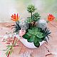 Composition of artificial succulents in pots. Composition. TaLanaLita (goodshop39). My Livemaster. Фото №4