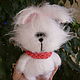 Crocheted Bunny Tishka. Stuffed Toys. Warm toys. My Livemaster. Фото №4
