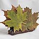 Autumn maple tree - napkin holder. Napkin holders. Elena Zaychenko - Lenzay Ceramics. My Livemaster. Фото №5