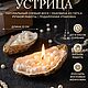 Свеча Устрица с жемчугом, Свечи, Мытищи,  Фото №1