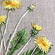 'Ordinary dandelion', art surface, embroidered picture. Pictures. Irina  Art embroidery. My Livemaster. Фото №4