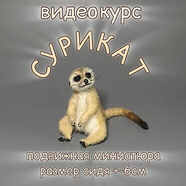 Материалы для творчества ручной работы. Ярмарка Мастеров - ручная работа МК Сурикат. Видеокурс по сухому валянию. Handmade.