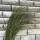 Grass жесткая трава для оформления, Цветы сухие и стабилизированные, Абинск,  Фото №1