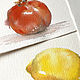 'Bright!' 3 watercolor paintings for the kitchen. Pictures. Nadezda Perova. Online shopping on My Livemaster.  Фото №2