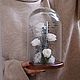 Стабилизированные розы в колбе. Композиции. Driedflowers_spb (Анастасия). Интернет-магазин Ярмарка Мастеров.  Фото №2