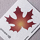 Felt pattern for brooch Maple leaf red gold, Embroidery kits, Solikamsk,  Фото №1