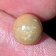 Заказать Природный редкий дикий жемчуг Мело(Melo), 3,58ct.сертифицирован. Astro.gems. Ярмарка Мастеров. . Минералы Фото №3