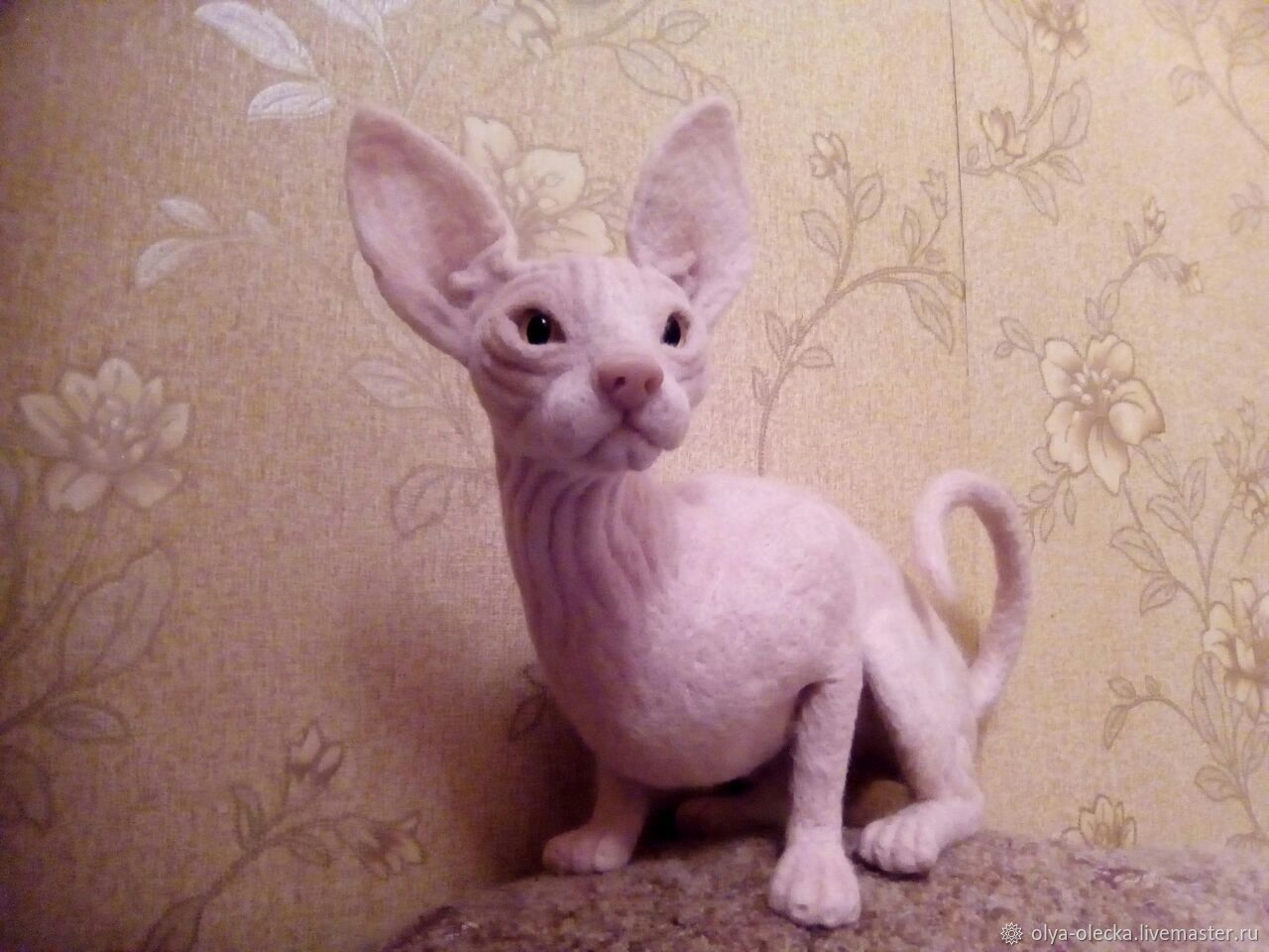 Ð�Ð³ÑÑÑÐºÐ¸ Ð�Ð¸Ð²Ð¾ÑÐ½ÑÐ�, ÑÑÑÐ½Ð¾Ð¹ ÑÐ�Ð�Ð¾ÑÑ. ÐÐ�ÐºÐ�Ð�Ð�ÑÑ Ð¡ÑÐ¸Ð½ÐºÑ ÐºÐ¾Ñ Ð¸Ð� ÑÐ�ÑÑÑÐ¸. wool animals. Ð¯ÑÐ¼Ð�ÑÐºÐ� ÐÐ�ÑÑÐ�ÑÐ¾Ð². Ð¡ÑÐ¸Ð½ÐºÑ, ÐºÐ¾Ñ ÑÑÐ¸Ð½ÐºÑ Ð² Ð¿Ð¾Ð´Ð�ÑÐ¾Ðº