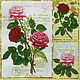 12pcs napkins for decoupage Postage rose decoupage print, Napkins for decoupage, Moscow,  Фото №1