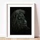 Black and white picture of a lion, Pictures, St. Petersburg,  Фото №1