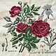 Painting cross-stitched Rose ' Duke de Wellington', Pictures, Liepaja,  Фото №1
