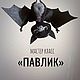 Видео мастер класс «ПАВЛИК», Курсы и мастер-классы, Санкт-Петербург,  Фото №1