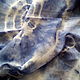 Denim,cotton scarf,hand rospis170h80 cm. Scarves. arkensoie Silkyway. My Livemaster. Фото №4