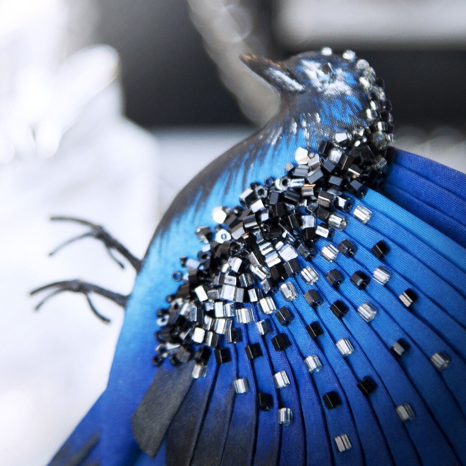 Синяя птица одежда