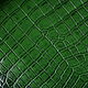 Crocodile skin, whole skin, belly, width from 23 to 55 cm. Leather. CrocShop. Online shopping on My Livemaster.  Фото №2