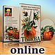 Видео-урок "Арт-сумка Тыква". Материалы для творчества. Оксана Калинина Aeromake SoftStore. Интернет-магазин Ярмарка Мастеров.  Фото №2