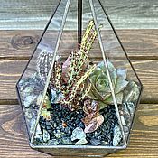 Цветы и флористика handmade. Livemaster - original item Florarium small pyramid. Handmade.