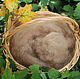 Beige wool for felting and spinning painted, Wool, Cherkessk,  Фото №1