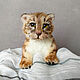Teddy Animals: Baby Tiger Cub, Teddy Toys, Chelyabinsk,  Фото №1