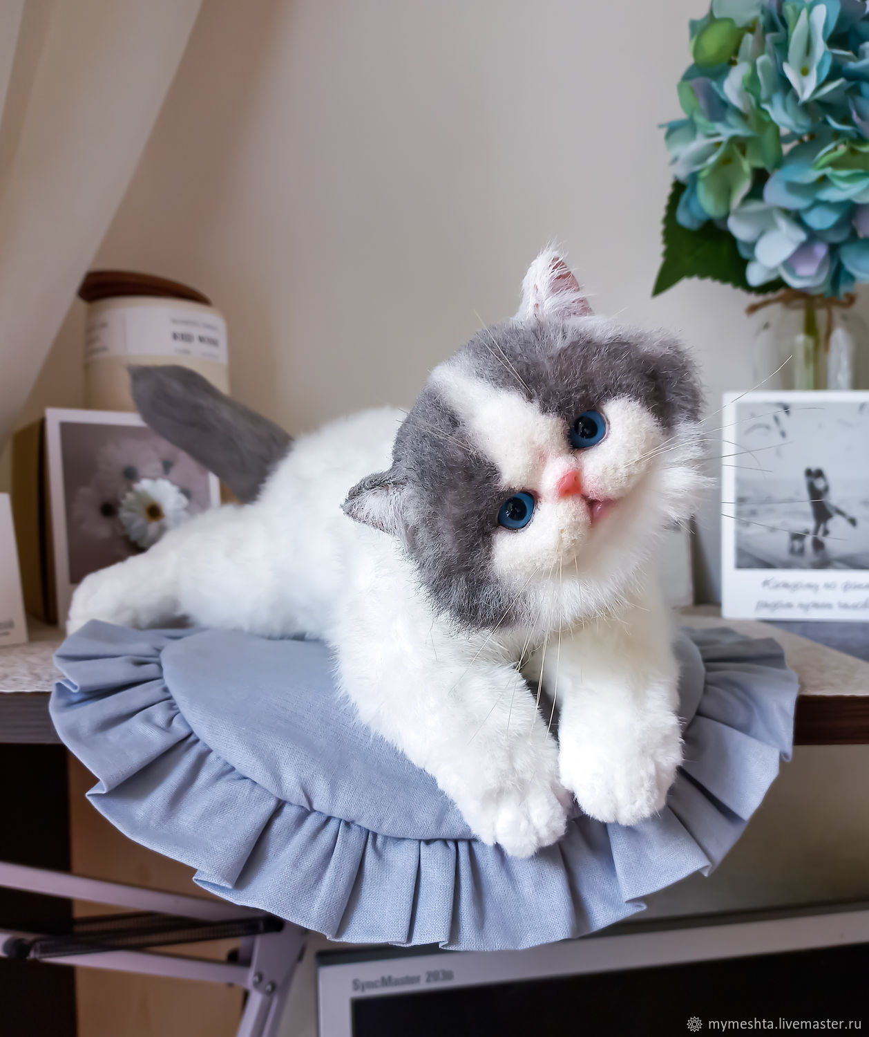 Мягкая игрушка котенок экзот Мотя. Экзотическая короткошерстная кошка ...