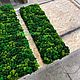 Панель из стабилизированного мха. Фитокартины. Green.Box. Ярмарка Мастеров.  Фото №4