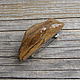 Sea brooch made of driftwood wood. Brooches. fiorellino. Online shopping on My Livemaster.  Фото №2