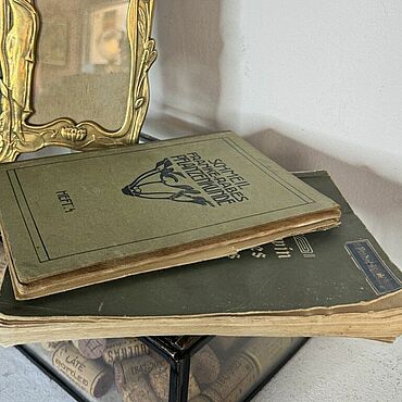 Винтаж ручной работы. Ярмарка Мастеров - ручная работа Винтаж: 1909-1914 гг книга на немецком антикварная Дарвин. Handmade.