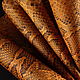 Python skin, hide, width 30-34 cm IMP2100UK, Leather, Moscow,  Фото №1
