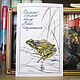 Травяная лягушка, Rana temporaria, зоологическая иллюстрация, Картины, Нижний Новгород,  Фото №1