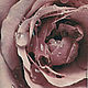 Брошь "Пепел роз" с натуральными камнями. Брошь-булавка. Светлана Канкия. Ярмарка Мастеров.  Фото №5