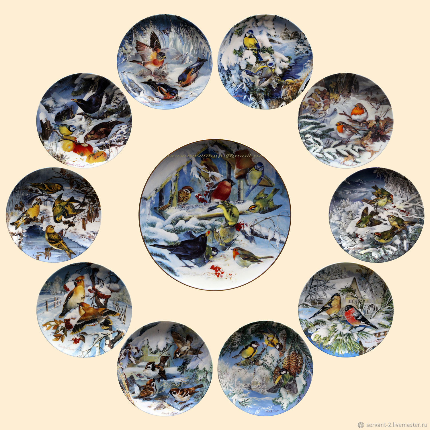 Винтаж: Птицы зимой полная серия тарелок Урсула Банд Hutschenreuther фарфор 11, Предметы интерьера винтажные, Санкт-Петербург,  Фото №1